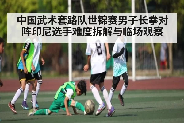 中国武术套路队世锦赛男子长拳对阵印尼选手难度拆解与临场观察